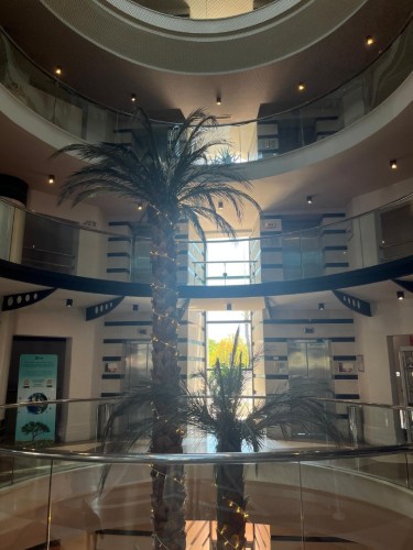 IMG-20250530-WA0182-2