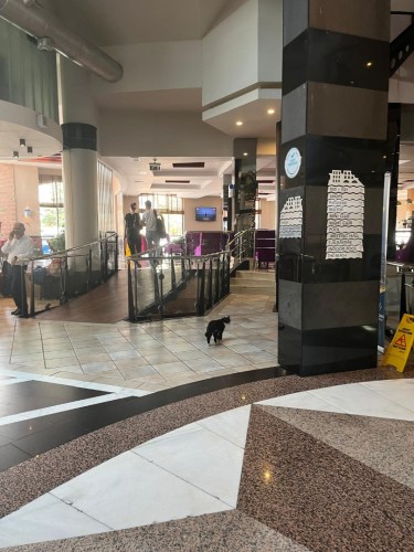 IMG-20250530-WA0185-2