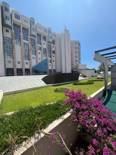 IMG-20250530-WA0201-2