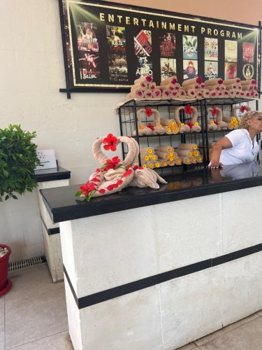 IMG-20250530-WA0224-2