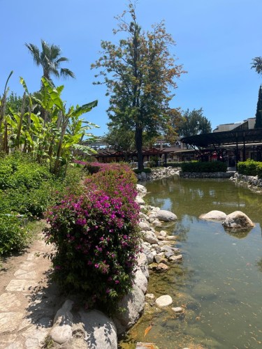 IMG-20250530-WA0227-2