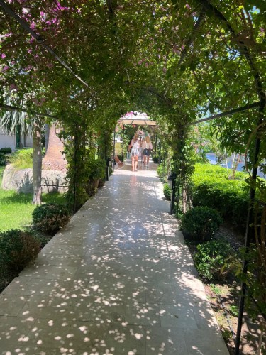 Zdjcie_WhatsApp_2025-05-30_o_22.23.32_1476ca3a-2